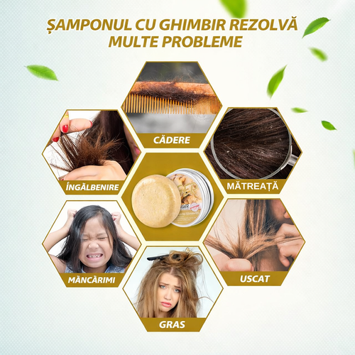 Șampon cu ghimbir pentru revitalizarea și creșterea părului